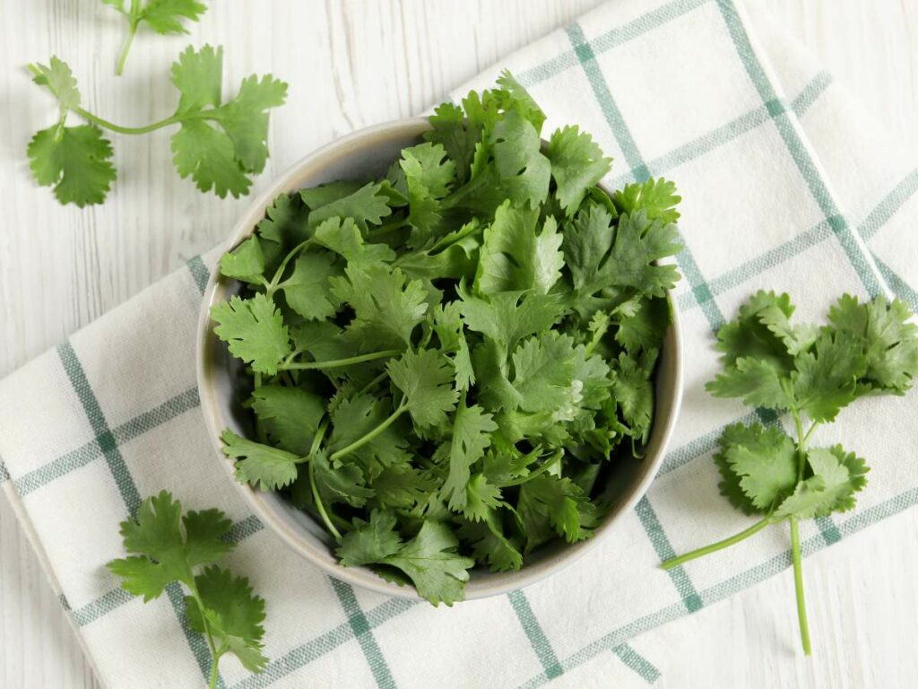 A bowl filled with fresh cilantro leaves on a checkered cloth.