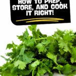 Image of cilantro with the text "CILANTRO 101: How to prep, store, and cook it right!".