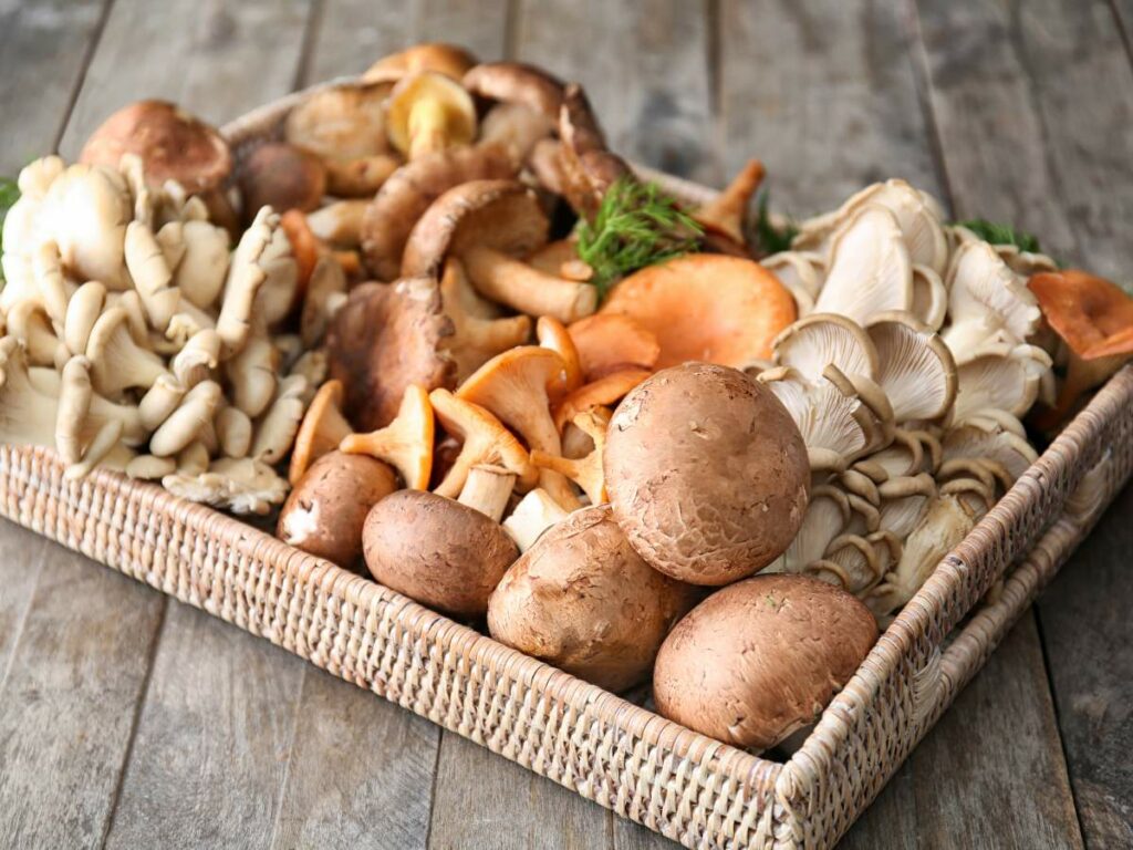 A wicker tray with an assortment of various fresh mushrooms, including shiitake, oyster, chanterelle, and portobello, arranged on a wooden surface.