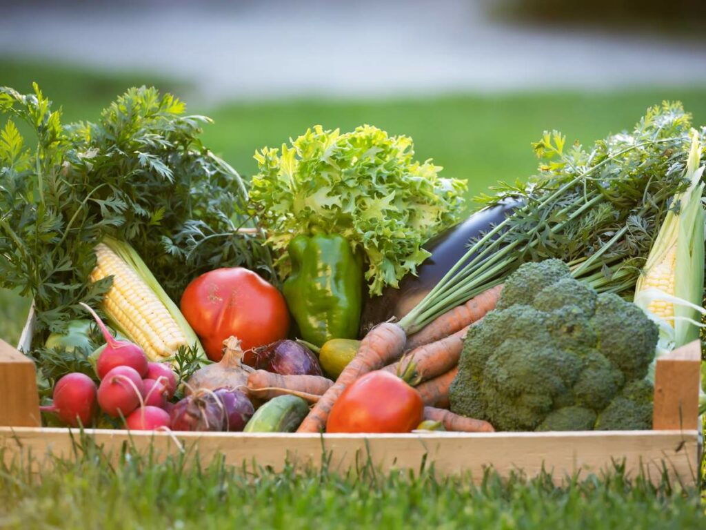 A wooden crate filled with fresh vegetables, set outdoors on green grass.