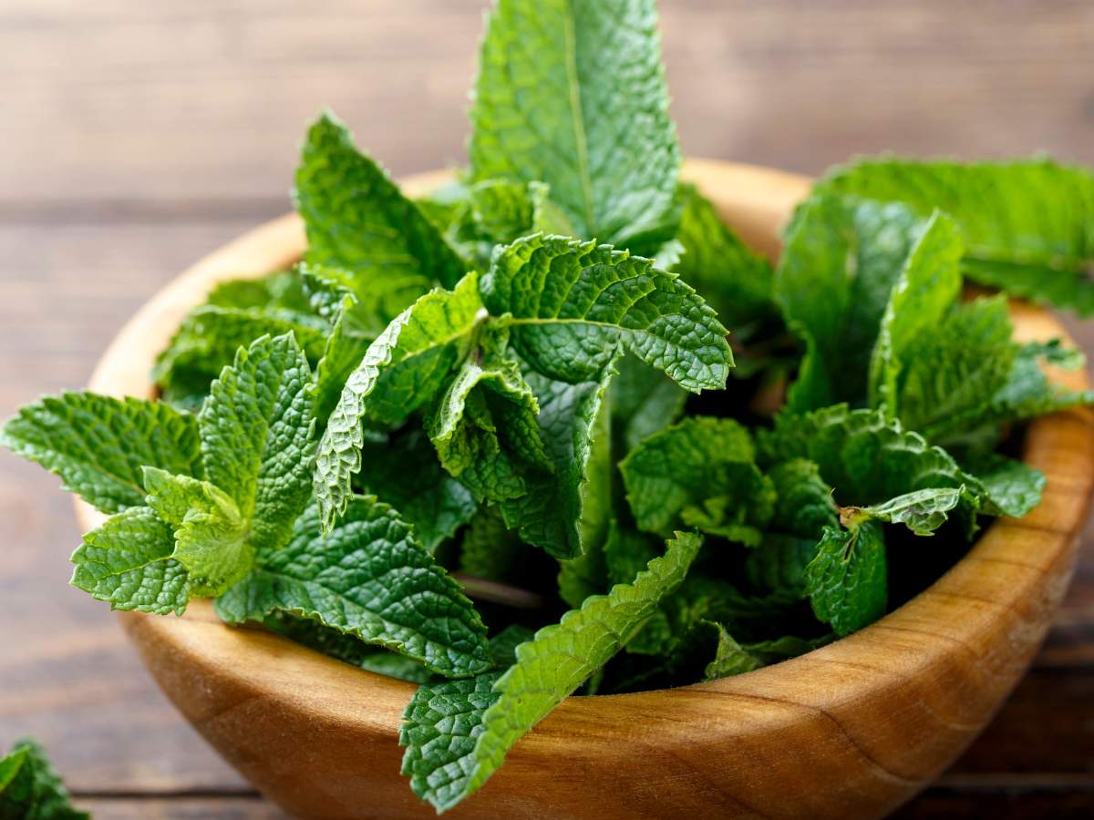 A wooden bowl filled with fresh green mint leaves on a wooden surface.