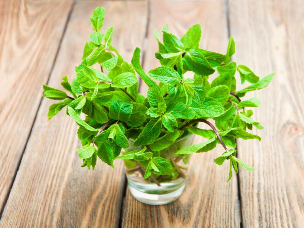 A glass container filled with fresh green mint leaves placed on a wooden surface.