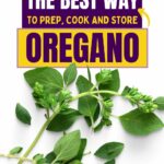 Text reads: "The Best Way to Prep, Cook and Store Oregano" and a URL "QuickPrepRecipes.com" at the top.