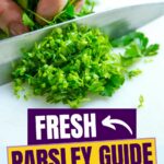 Text reads, "Fresh Parsley Guide: Prep, Store, and Cook it Like a Pro!" The website "quickpreprecipes.com" is visible at the top.