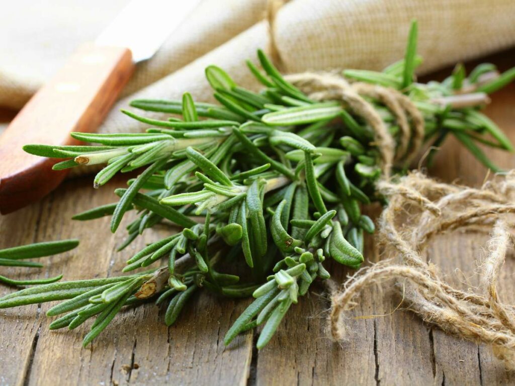 A bundle of fresh rosemary tied with twine and placed on a wooden surface.