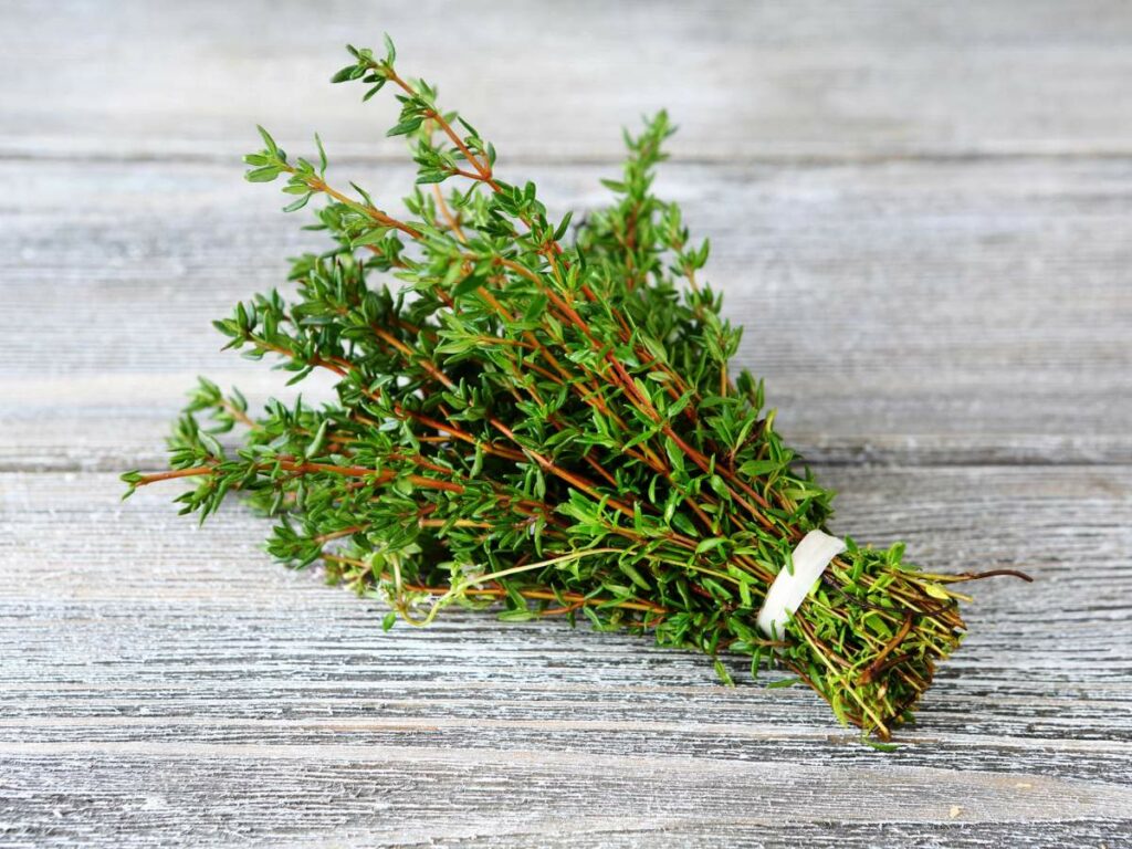 A bundle of fresh thyme sprigs tied together with a white band, placed on a rustic wooden surface.