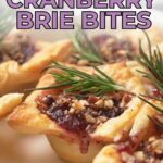 Text reads "Quick & Delicious Cranberry Brie Bites" and "quickpreprecipes.com" at the bottom.