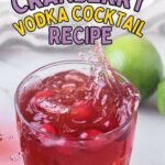 Text reads: "Easiest Cranberry Vodka Cocktail Recipe" and "quickpreprecipes.com.