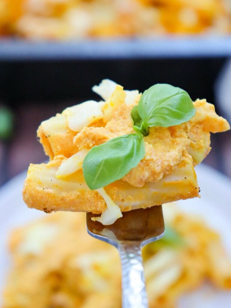 Close-up of a fork holding pumpkin pasta with cheese and basil garnish.