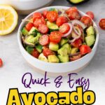 A bowl of avocado salad with cherry tomatoes, cucumber, and red onion, with half an avocado and a lemon slice nearby.