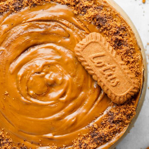 Overhead view of a cake topped with smooth caramel-colored frosting, crumbled biscuits, and a whole Lotus Biscoff biscuit for decoration.