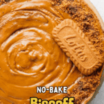Top view of a no-bake Biscoff cheesecake with a smooth caramel-colored topping, cookie crumbs around the edge, and a whole Lotus Biscoff biscuit on top.